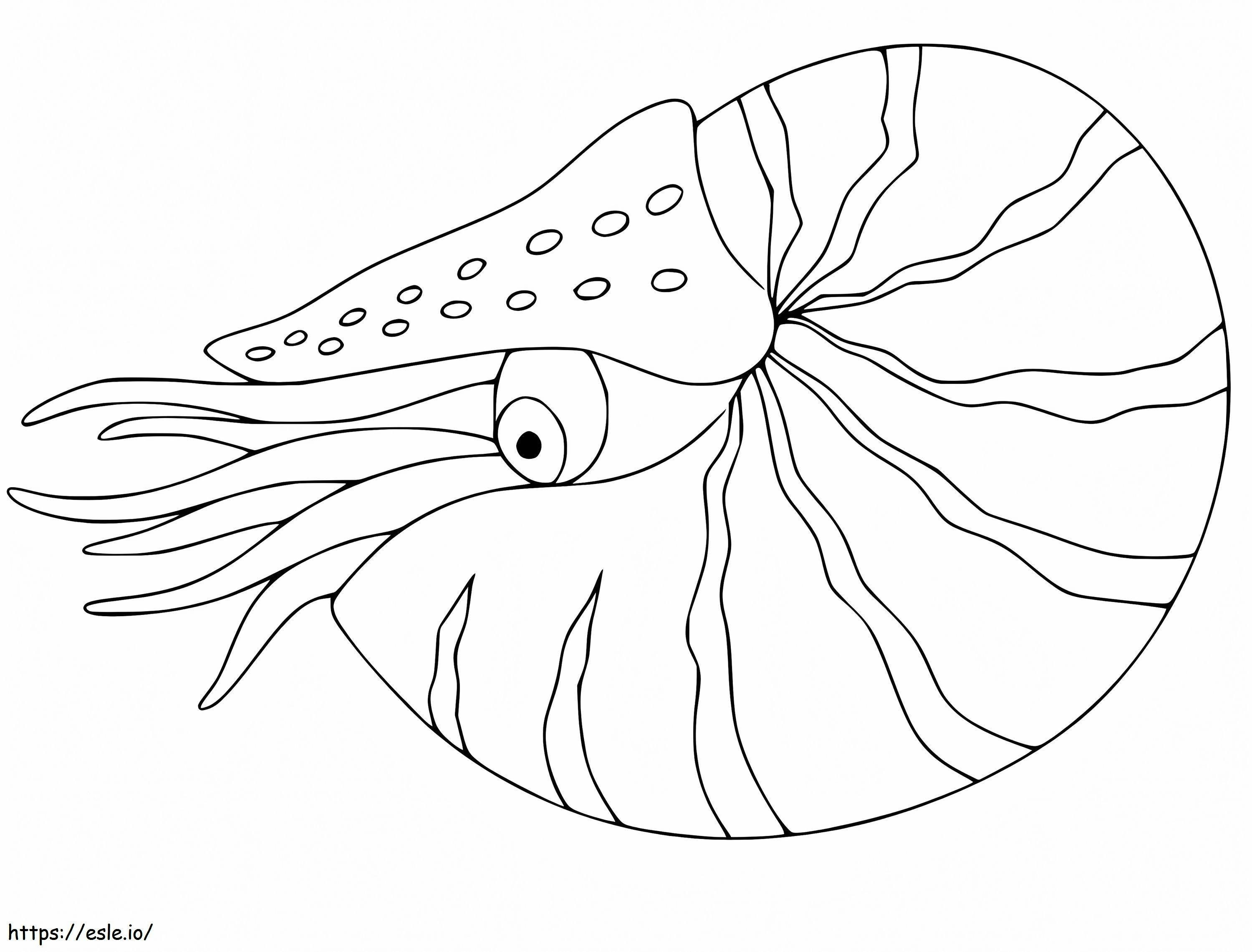 Łatwy Nautilus kolorowanka