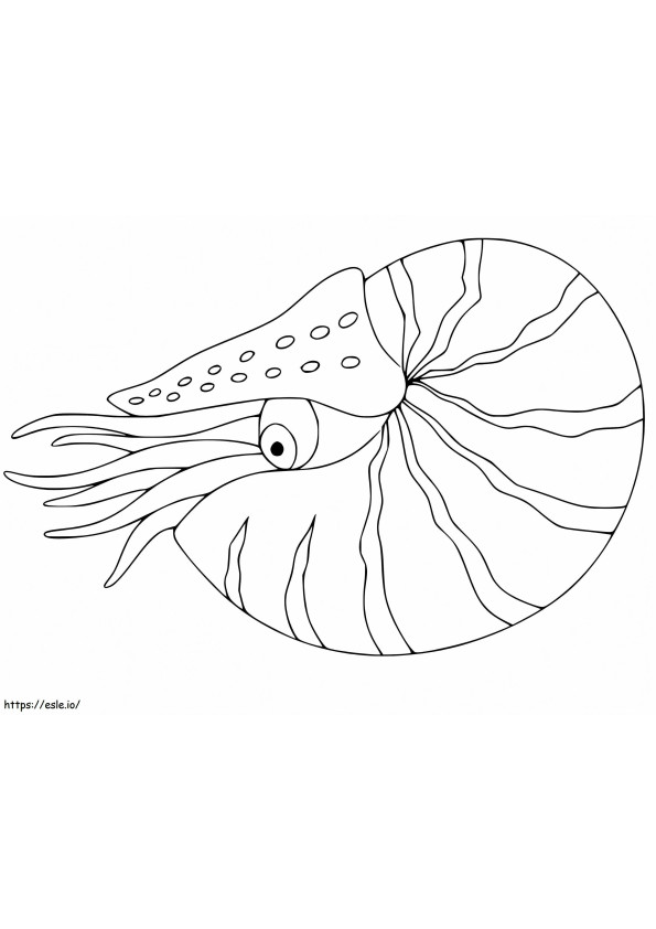 Coloriage Nautilus facile à imprimer dessin