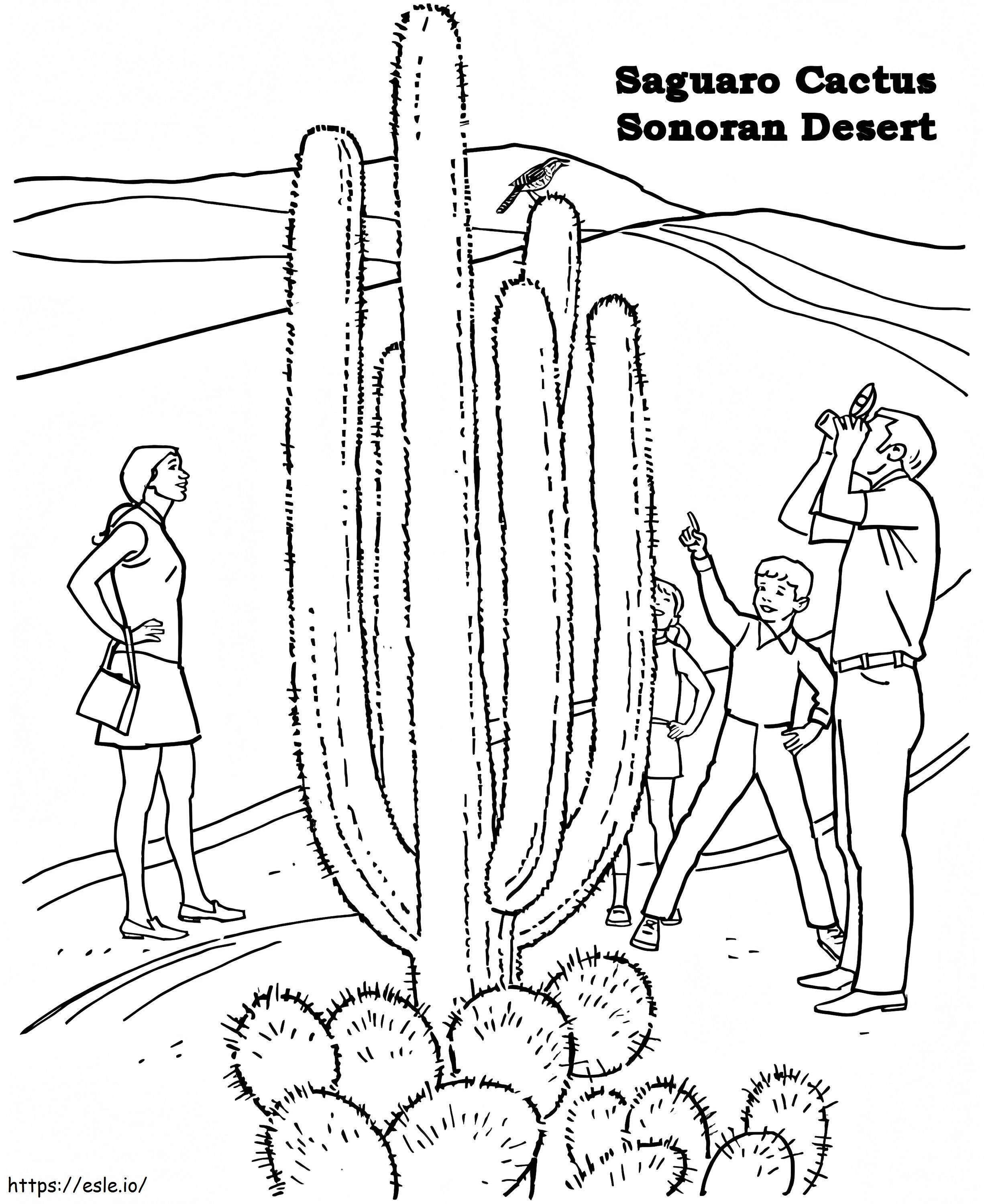 gente en el desierto para colorear