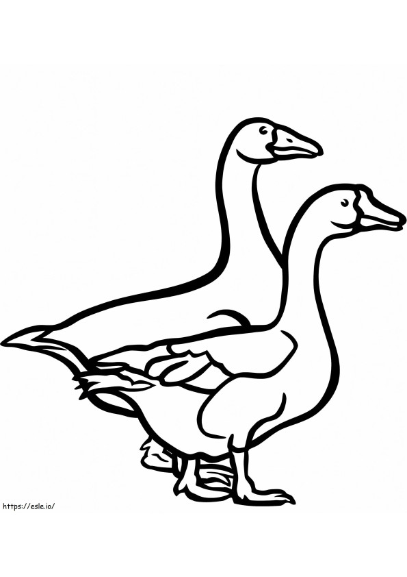 Two Geese coloring page
