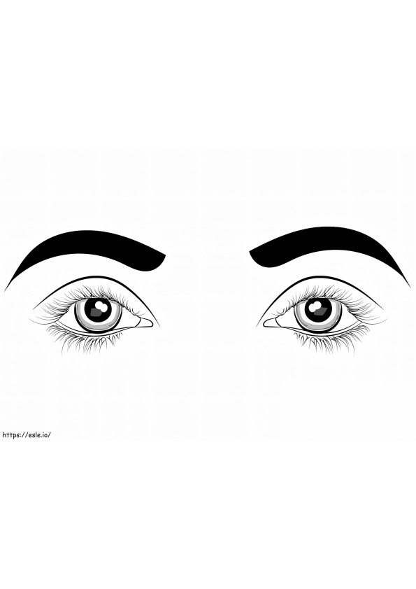 Basic Eyes