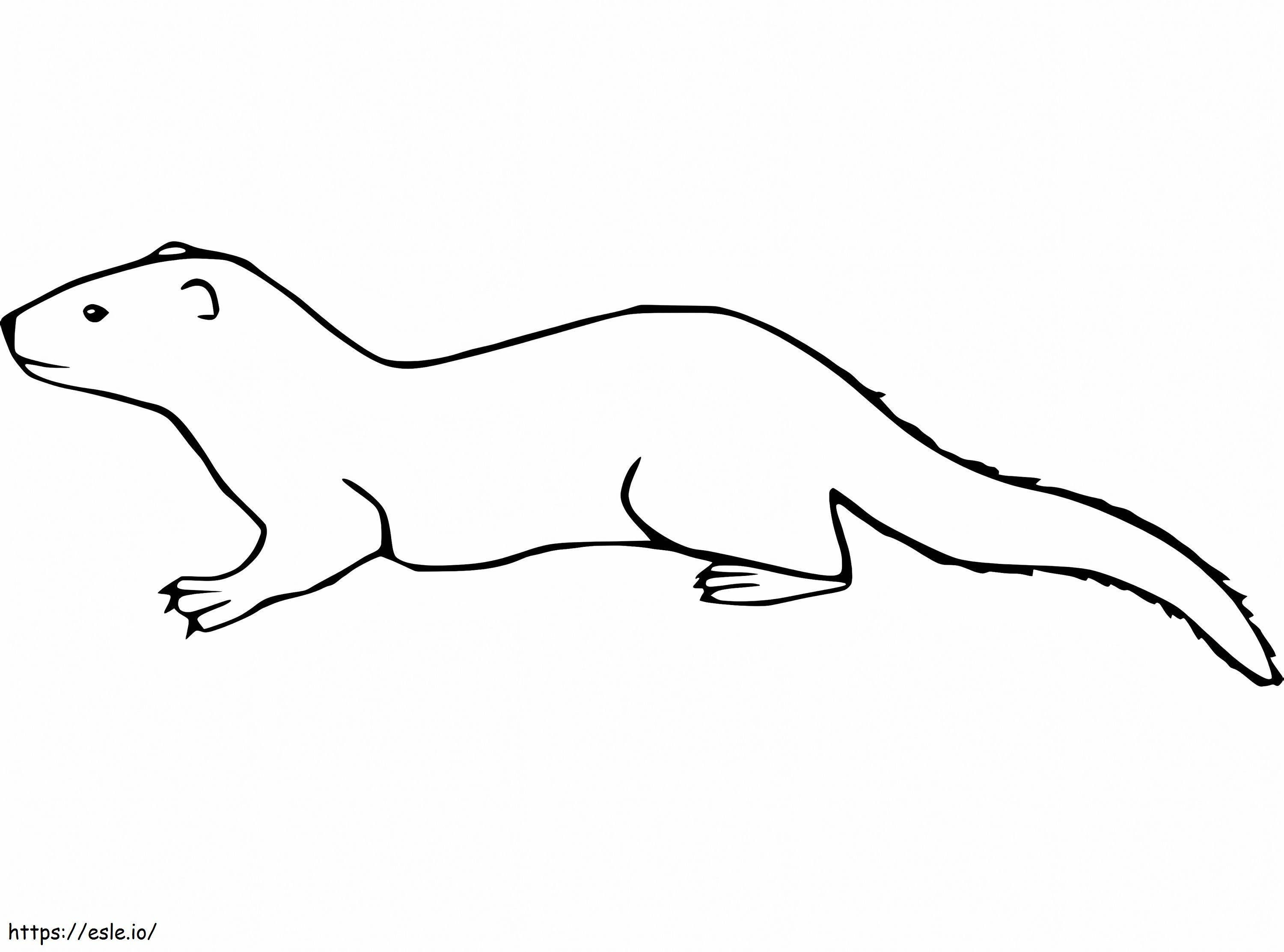 Weasel 5 coloring page