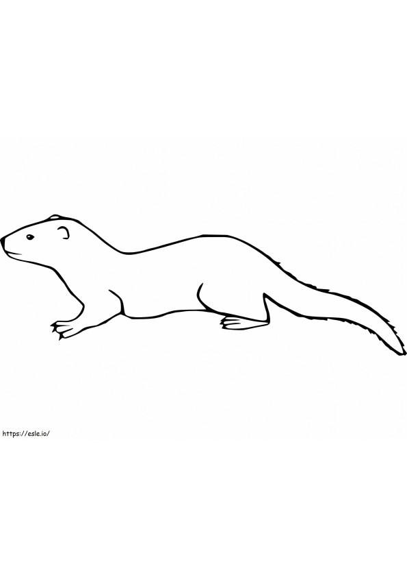 Weasel 5 coloring page