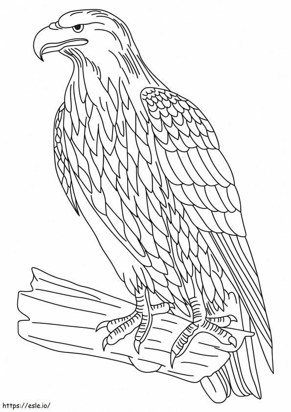 1526461498 Golden Eagle A4 coloring page