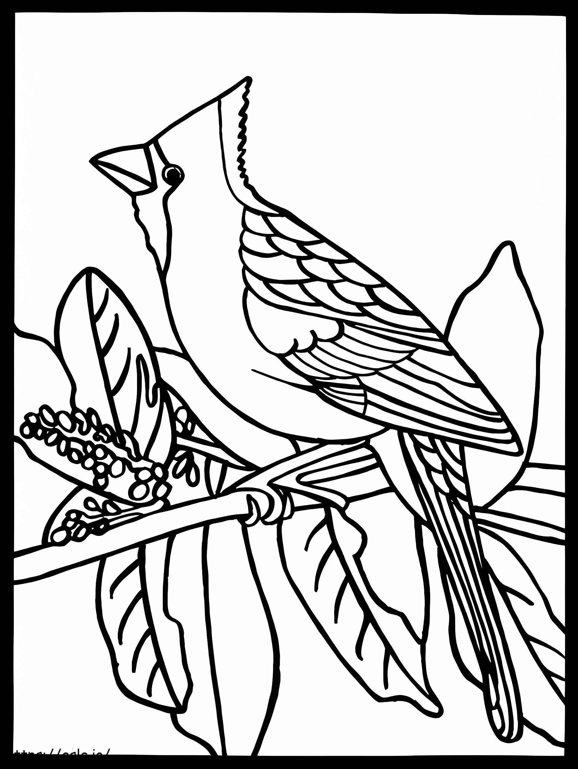 Coloriage Cardinal imprimable à imprimer dessin