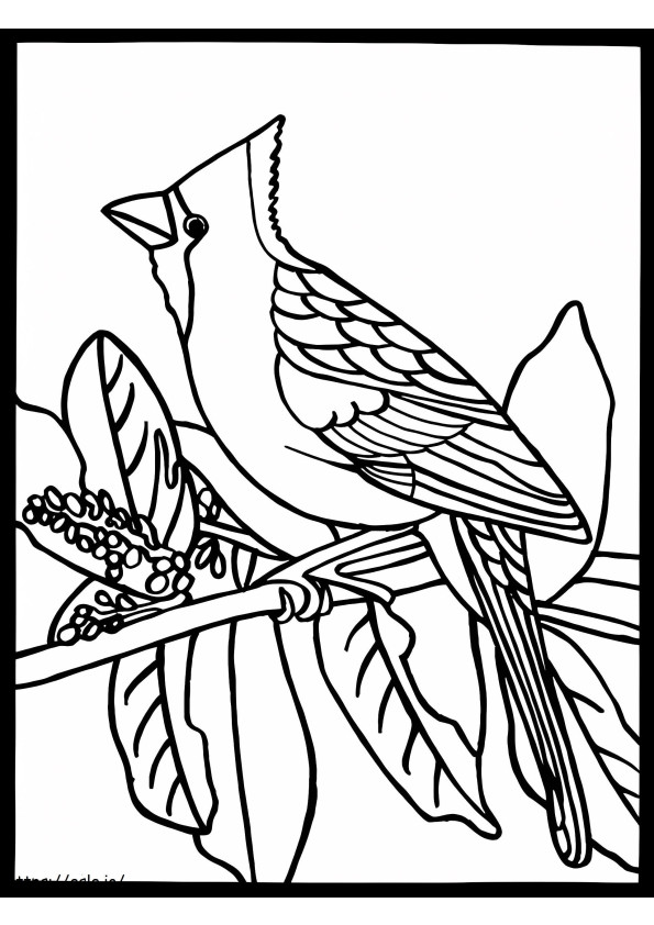 Printable Cardinal coloring page