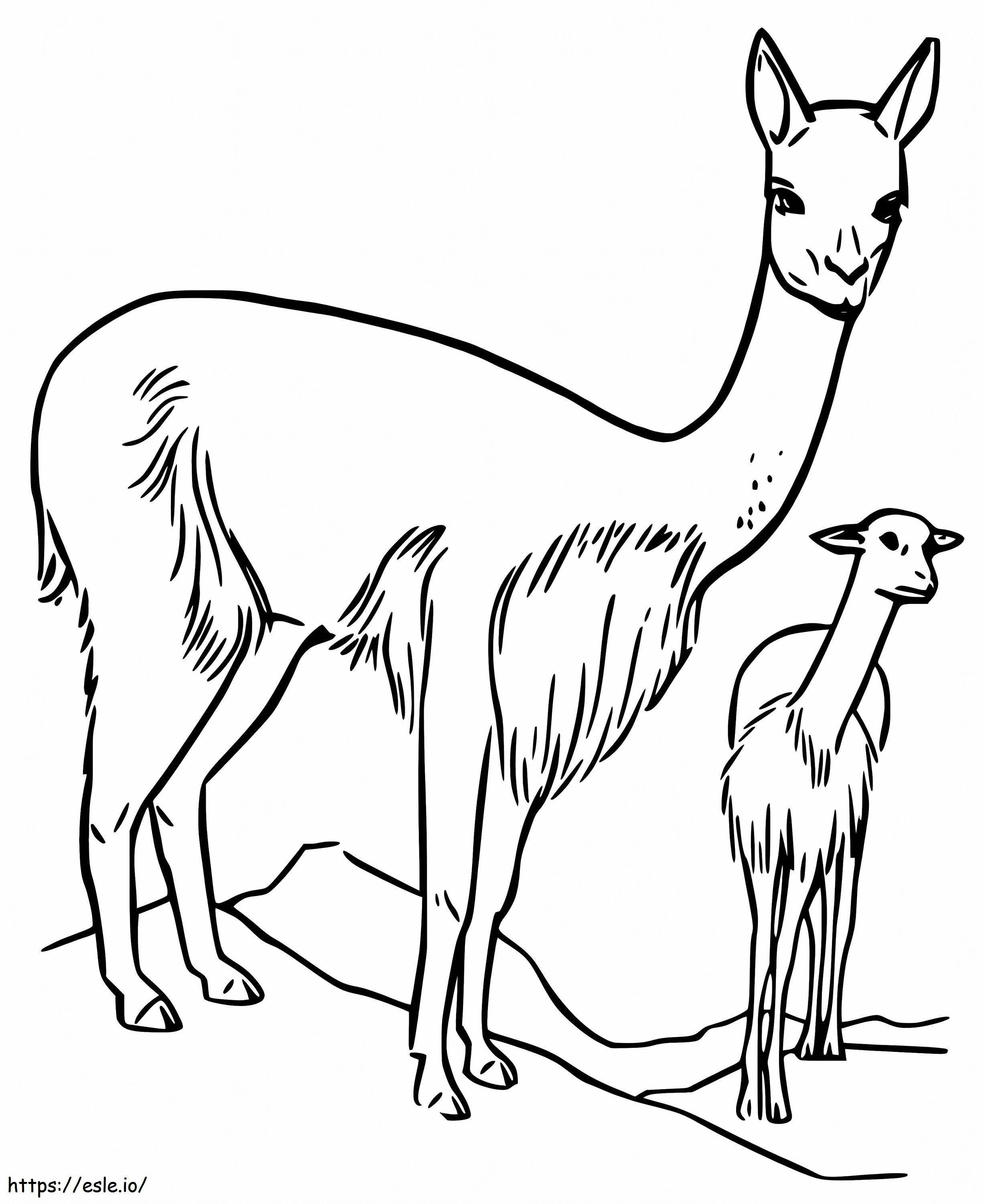 Mother And Baby Vicuna coloring page