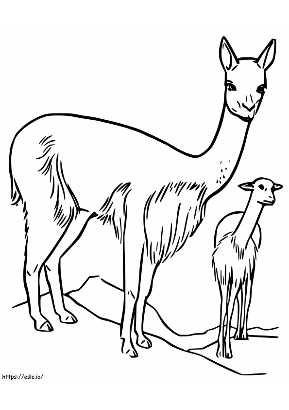 Mother And Baby Vicuna coloring page