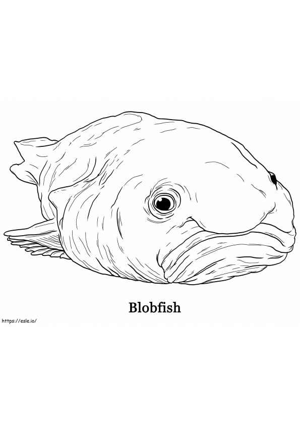 Normaali Blobfish värityskuva