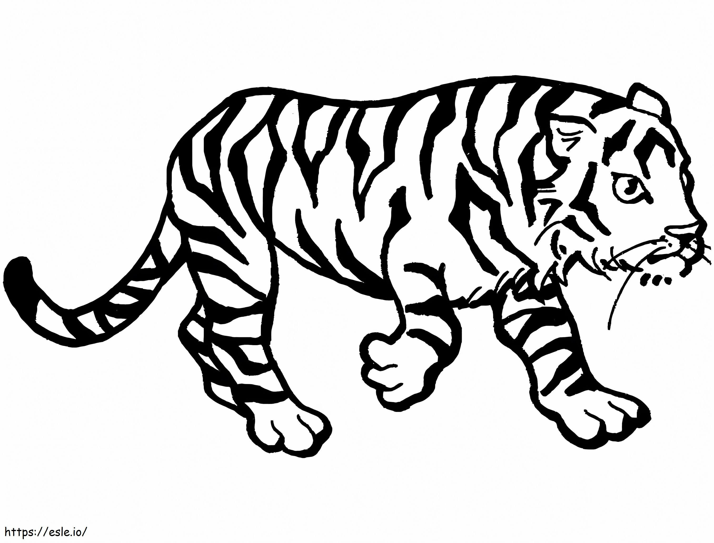 Tiikerin kävelyt värityskuva