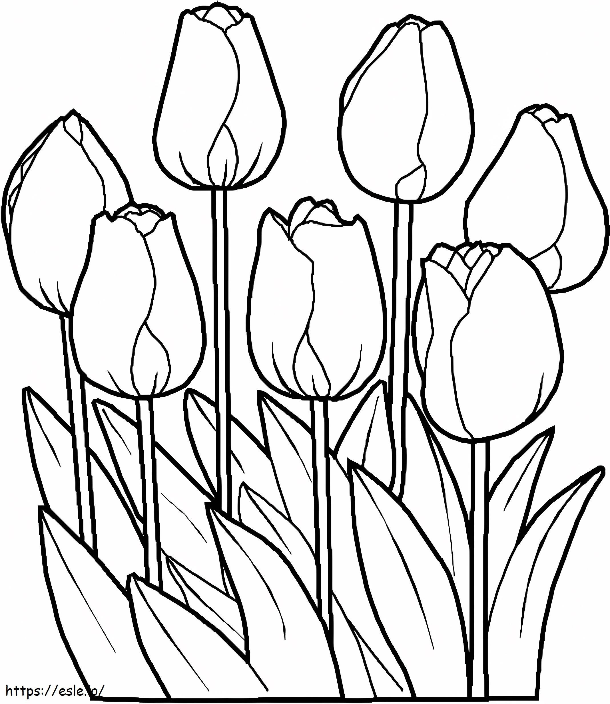 Perfect Tulip coloring page