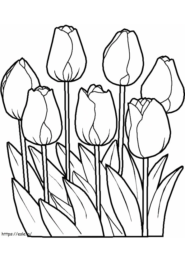 Perfect Tulip coloring page