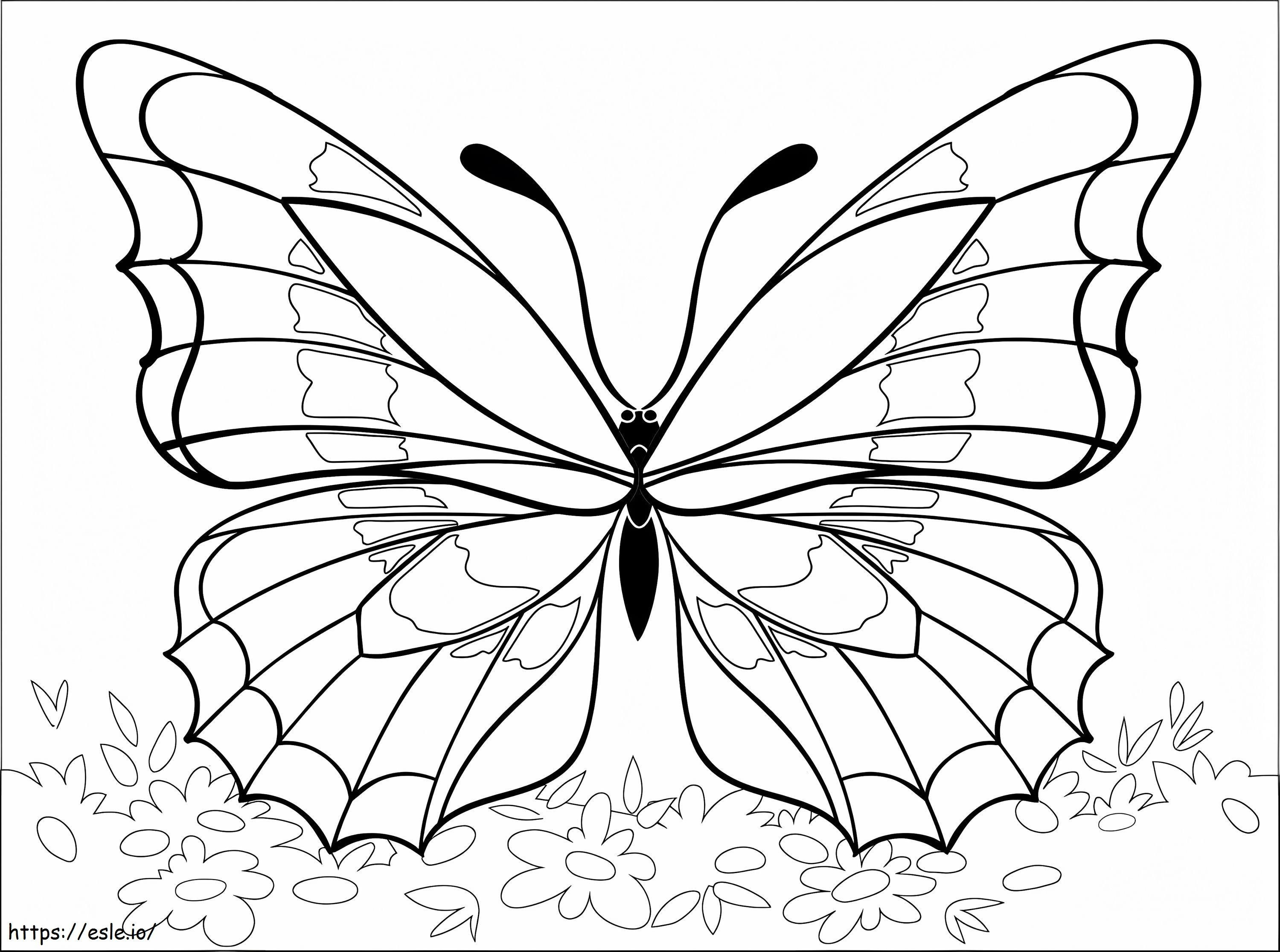 Csodálatos Pillangó kifestő