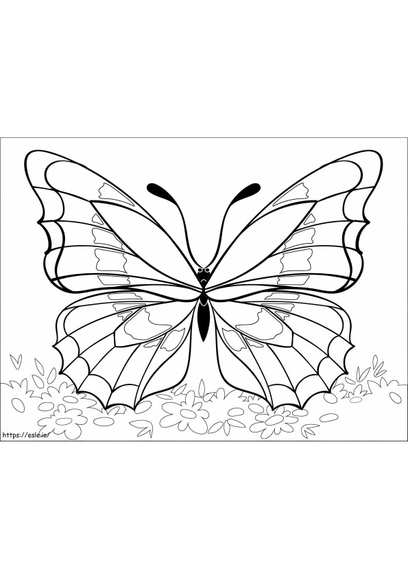 Geweldige vlinder kleurplaat