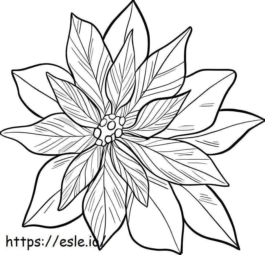 Coloriage Poinsettia adulte à imprimer dessin