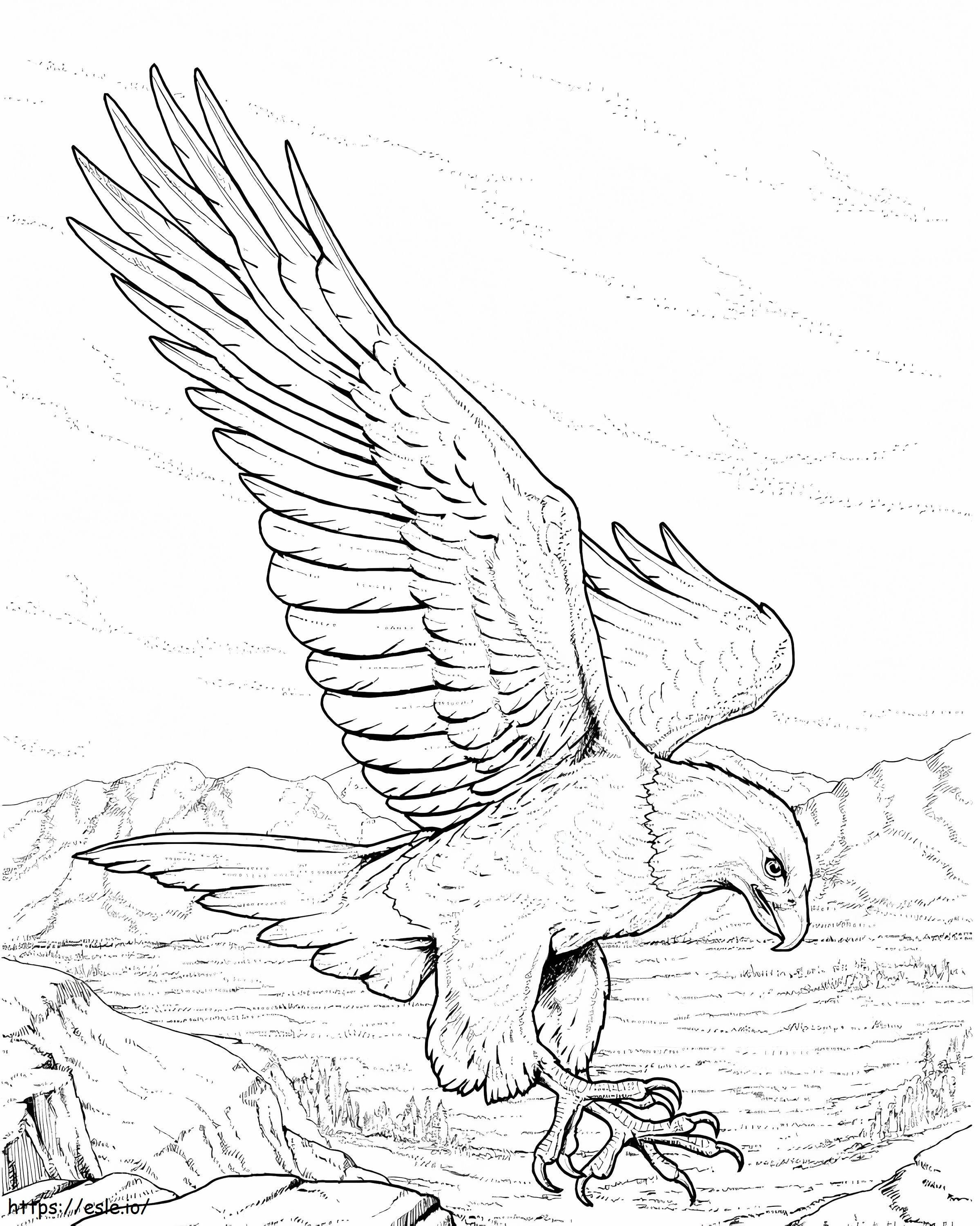 Vulturul chel nord-american de colorat