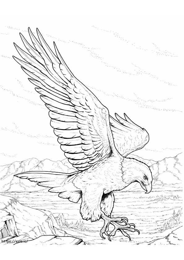 North American Bald Eagle coloring page
