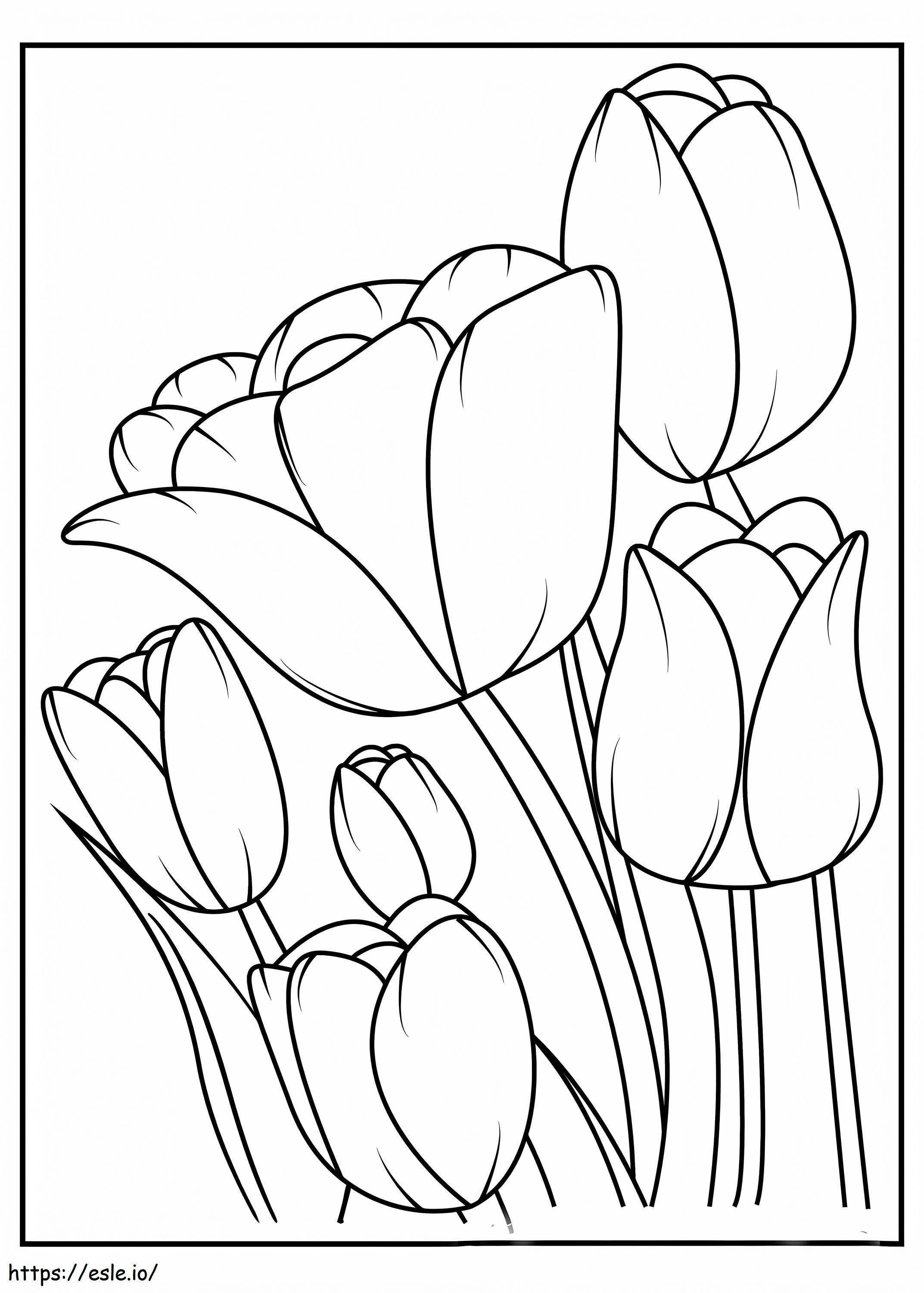 Seis tulipas para colorir