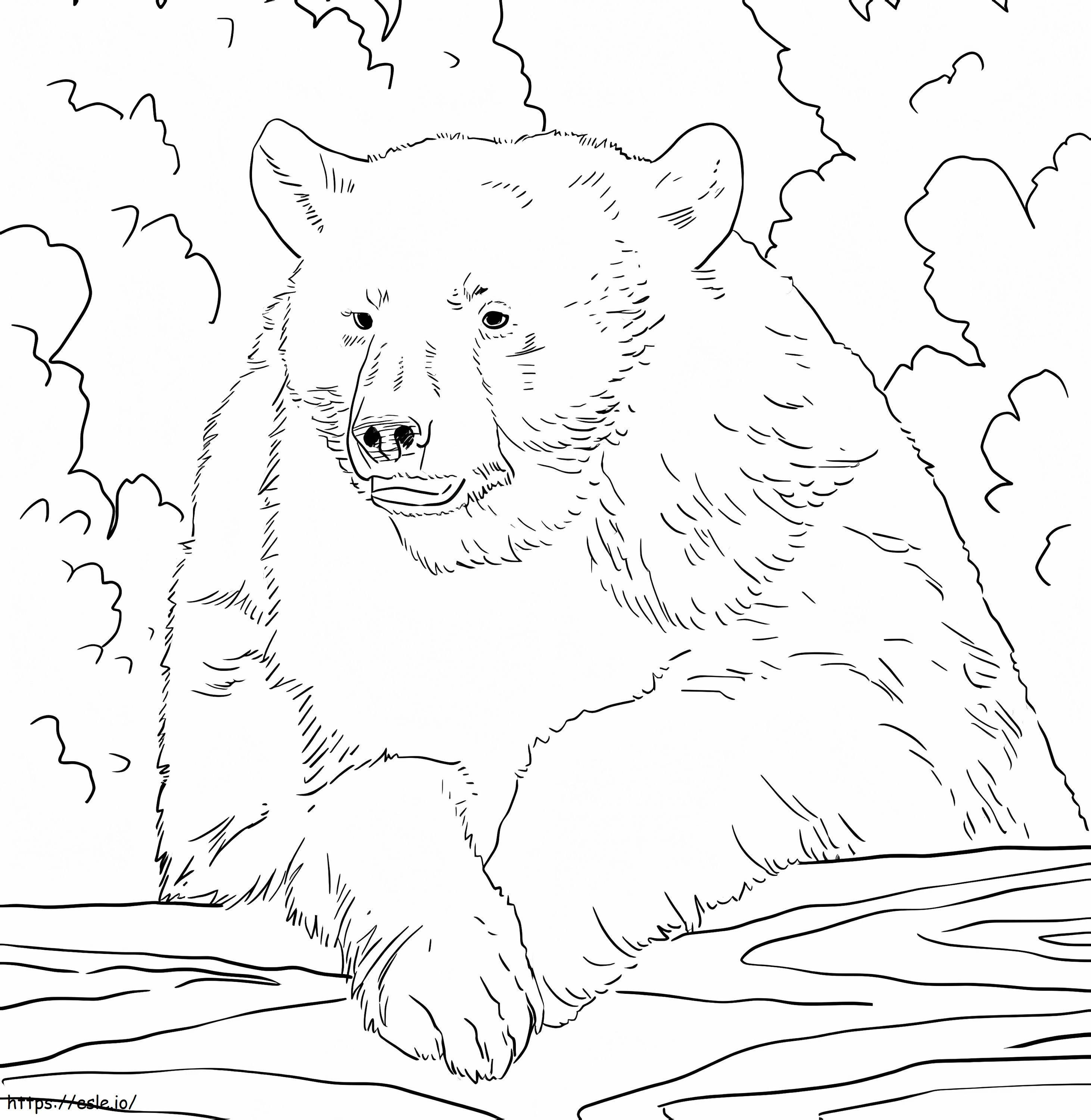 Dasar Beruang Hitam Amerika Gambar Mewarnai
