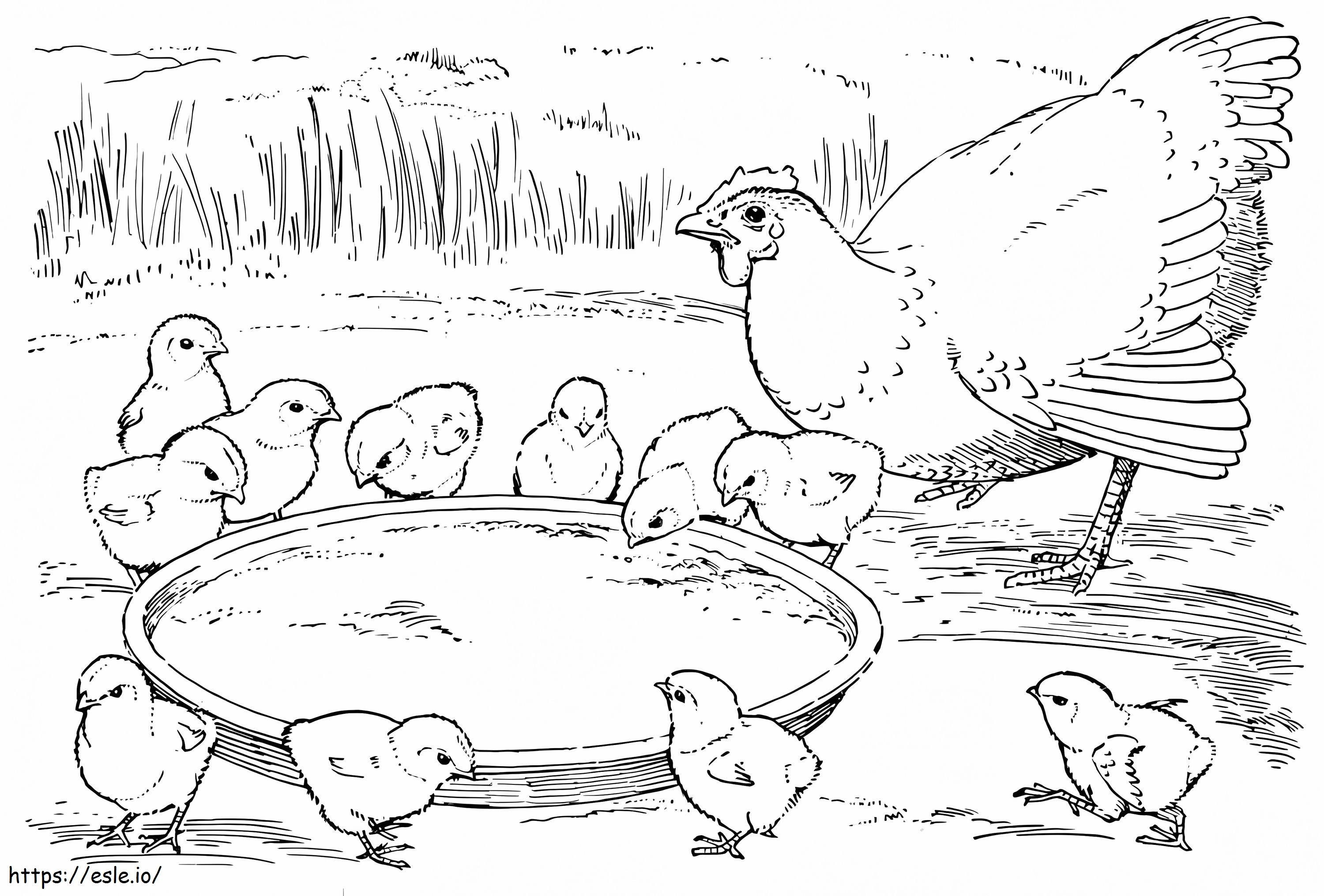 Kanaäiti ja poikaset värityskuva