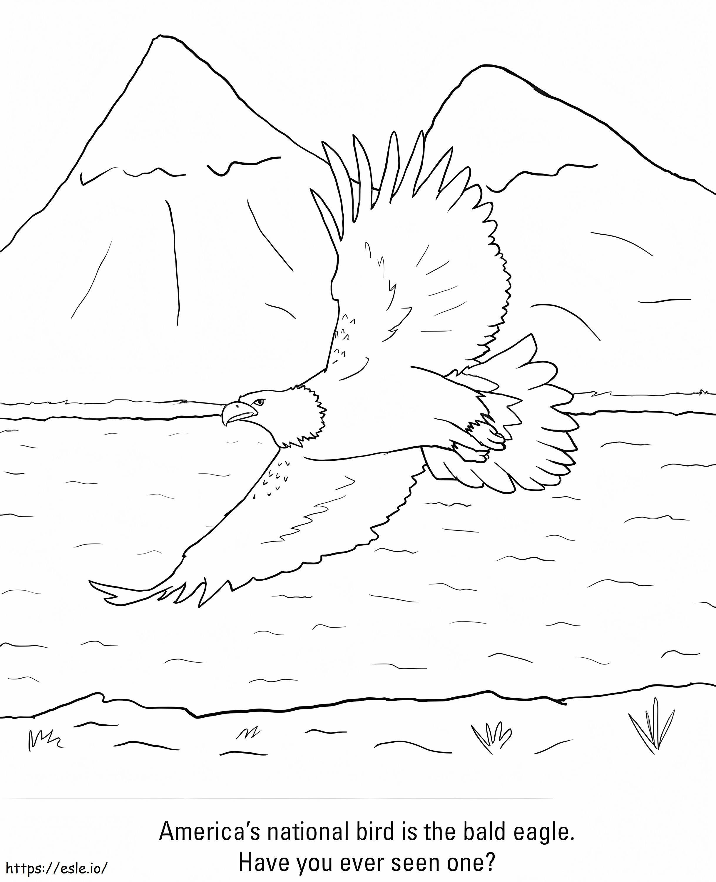 Aquila calva volante da colorare