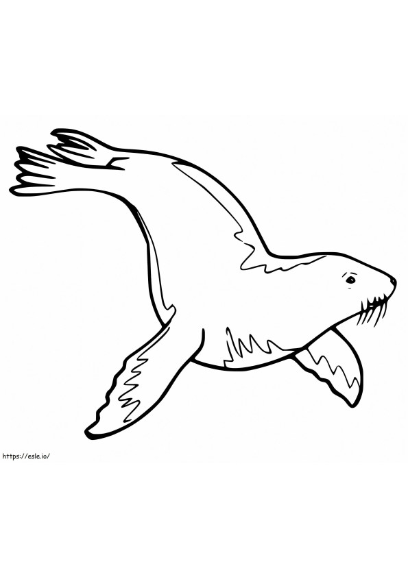 Coloriage Lion de mer nage à imprimer dessin