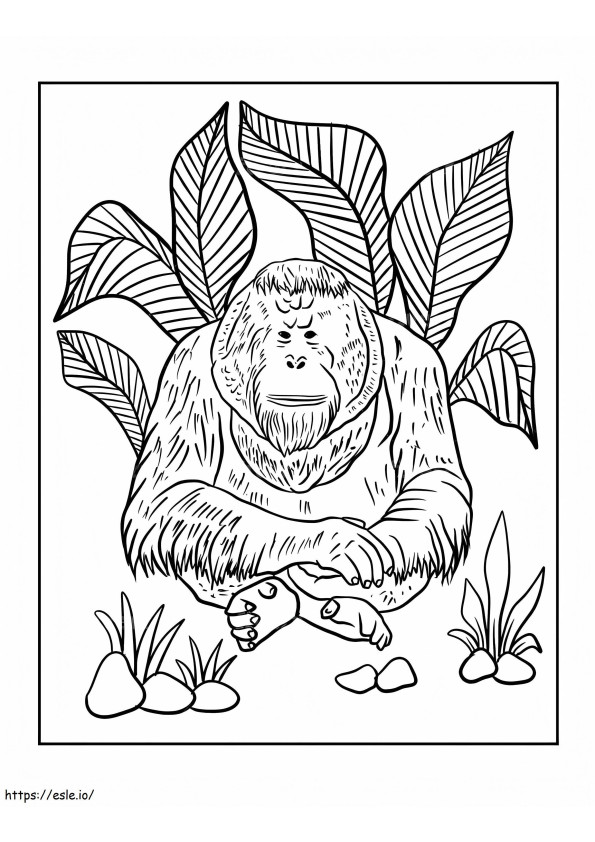 Borneose orang-oetan kleurplaat kleurplaat