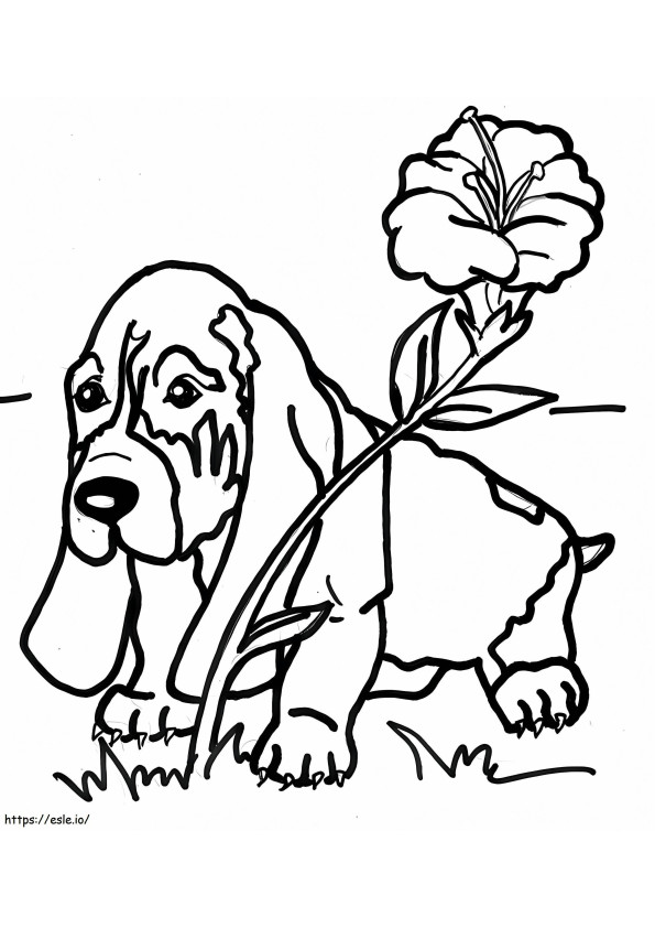 Baby Basset Hound coloring page