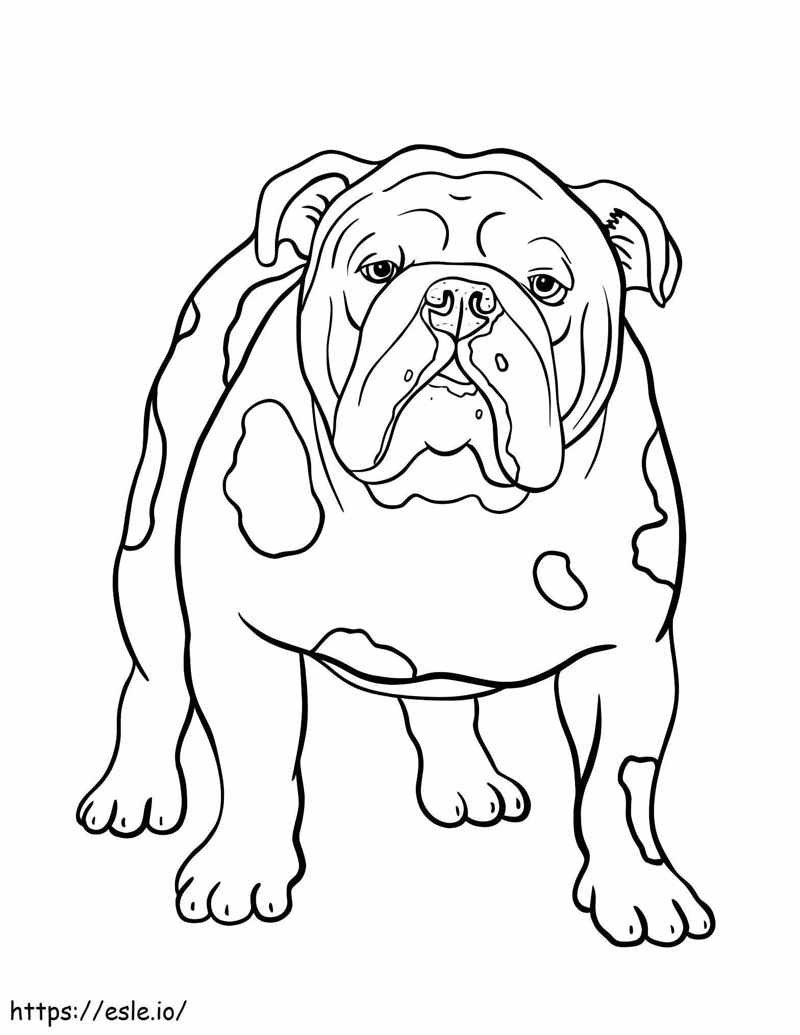 Bulldog di base da colorare
