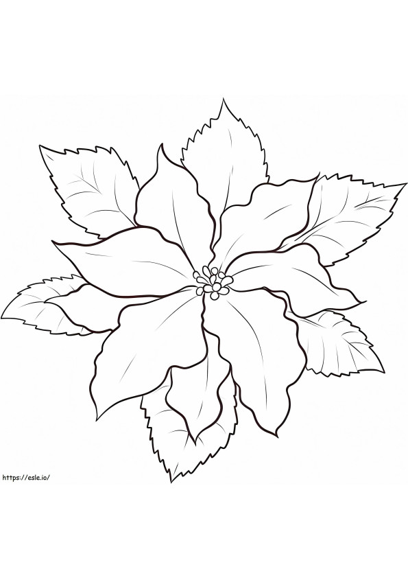 Coloriage Poinsettia sucré à imprimer dessin