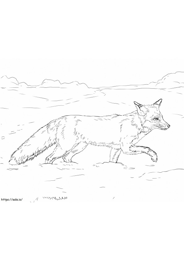 Red Fox kävelee lumella värityskuva