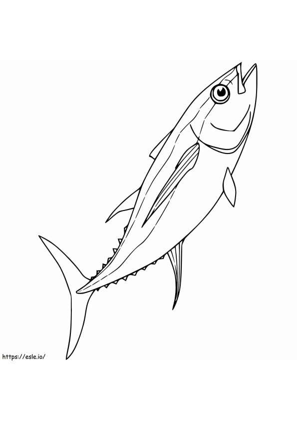 Cetak Ikan Tuna Gambar Mewarnai