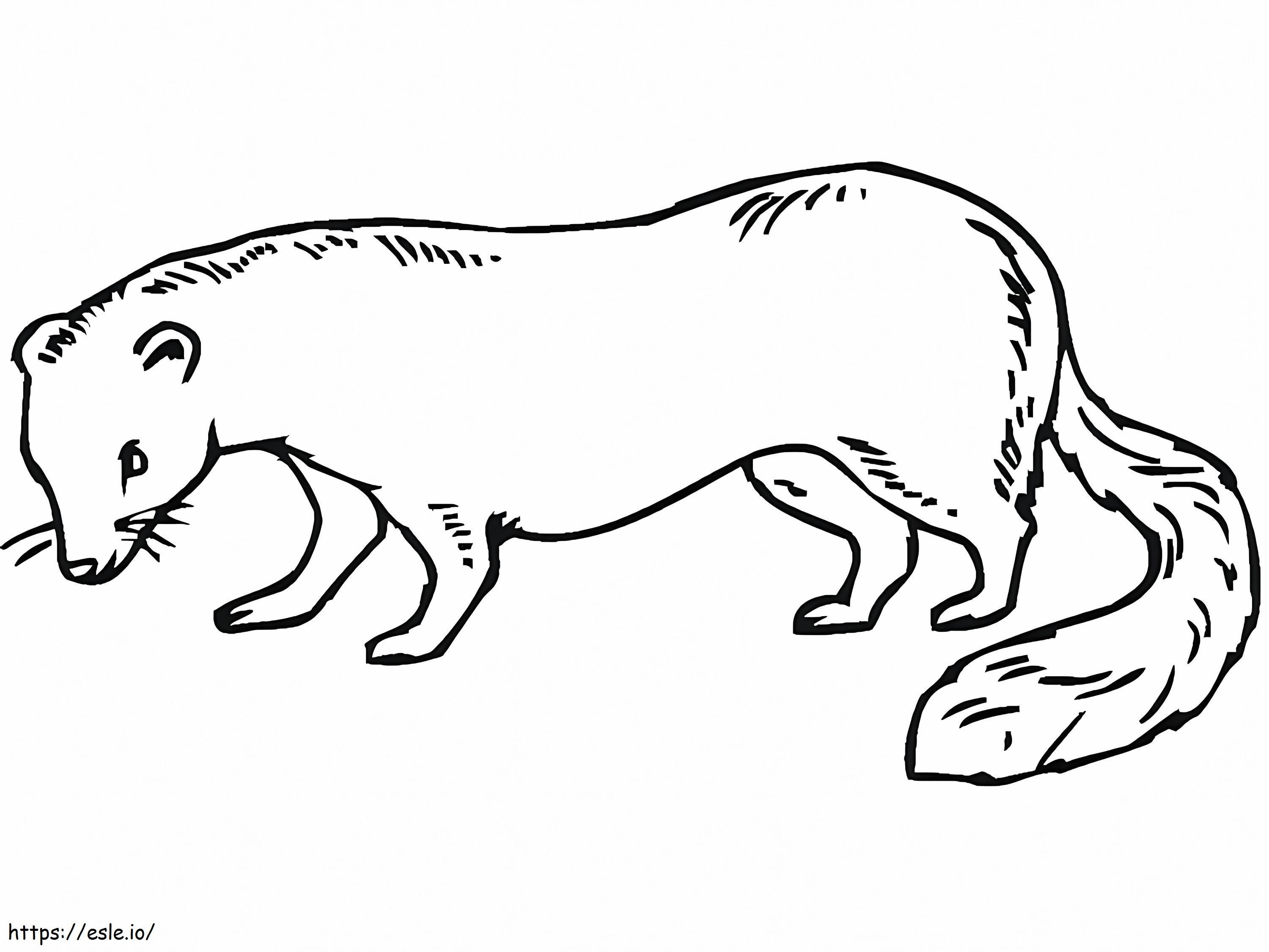 Ferret 1 coloring page