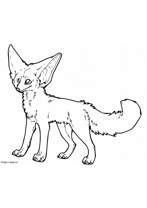 Fennec Raposa 3