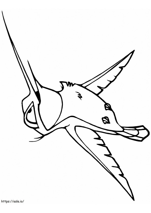 1561709185 Fly A4 coloring page