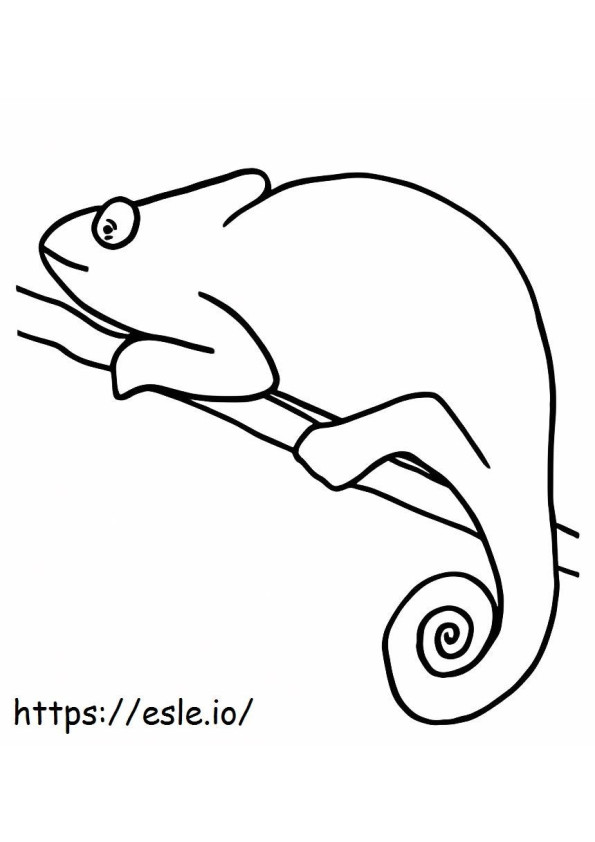 Easy Chameleon coloring page