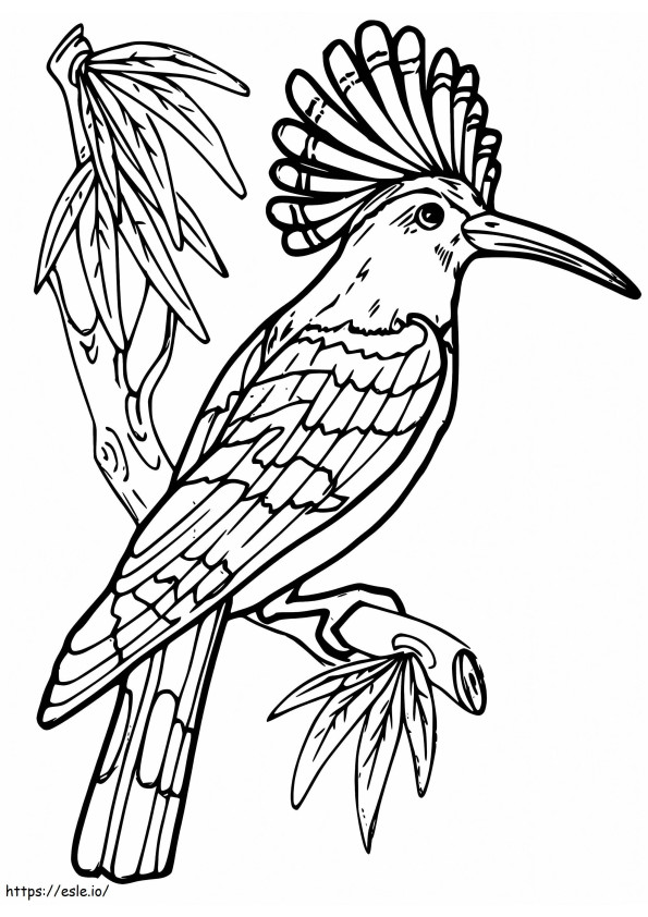 Hoopoe On Branch coloring page
