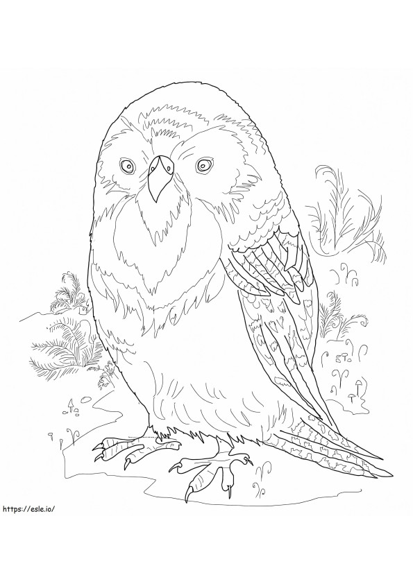 Kakapo coloring page