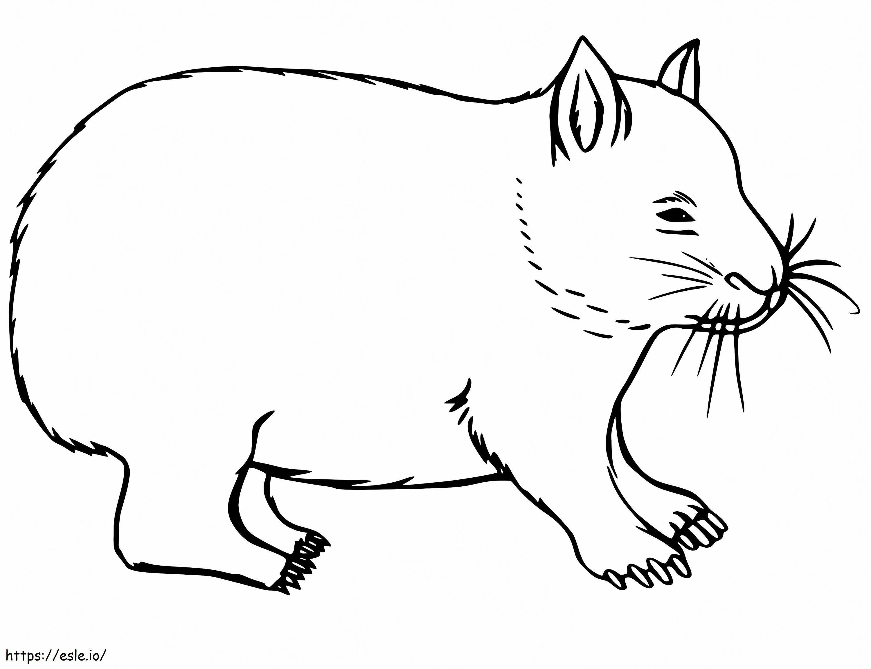 Wombat imprimible para colorear