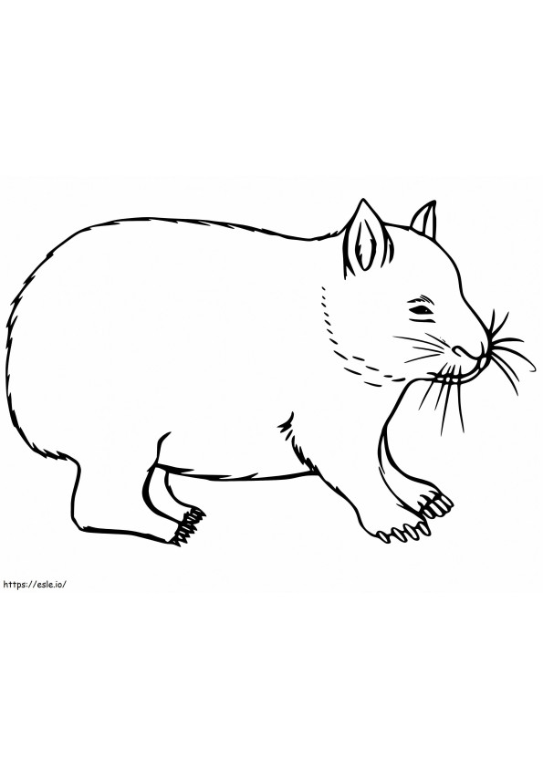Coloriage Wombat imprimable à imprimer dessin