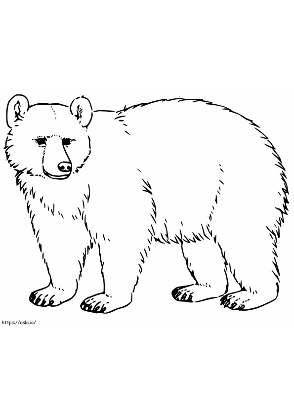 Urso Negro Grátis para colorir