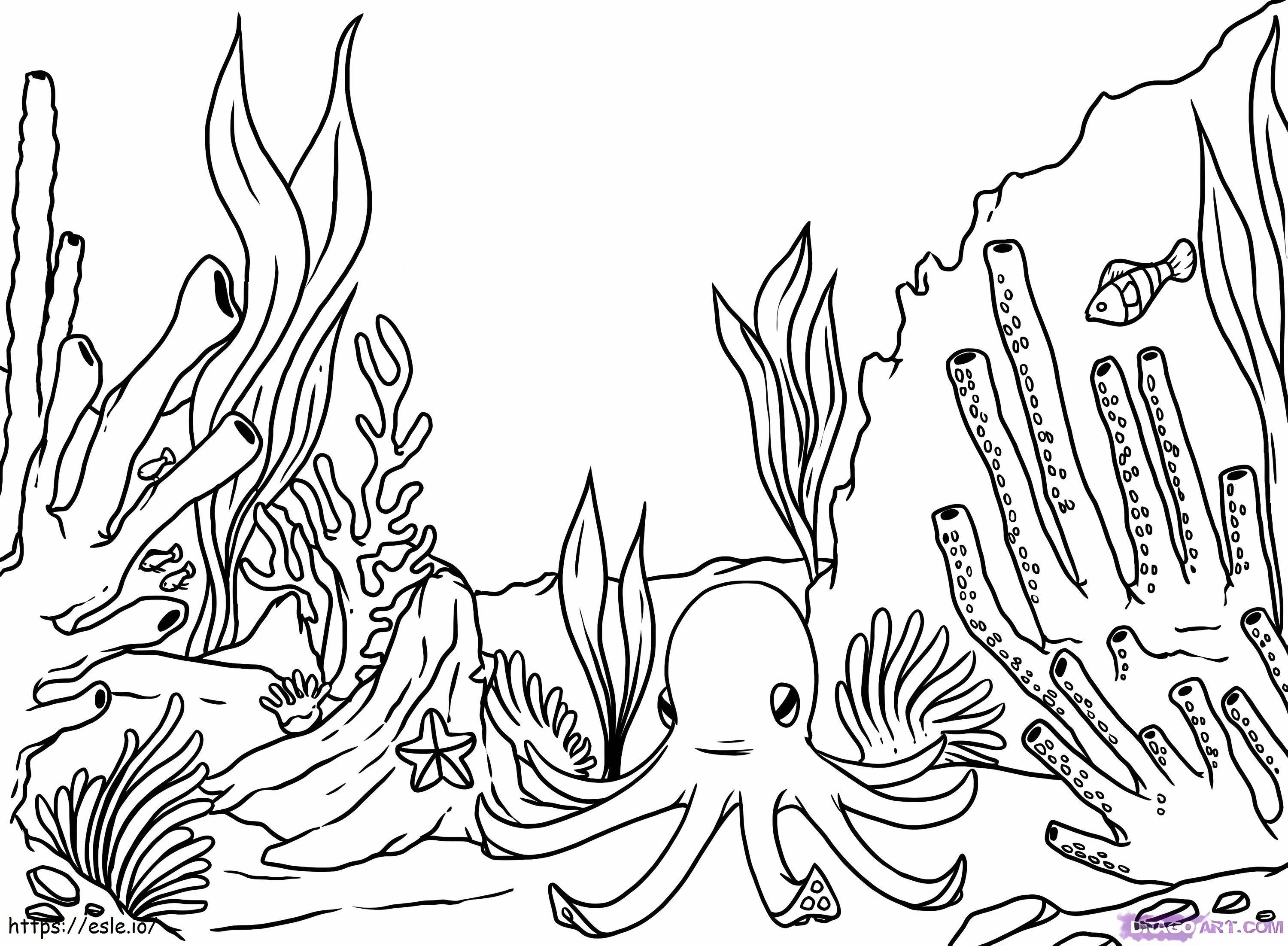 Koraal En Octopus kleurplaat kleurplaat