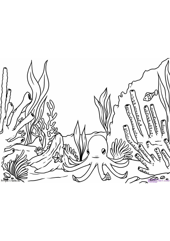 Coral And Octopus coloring page