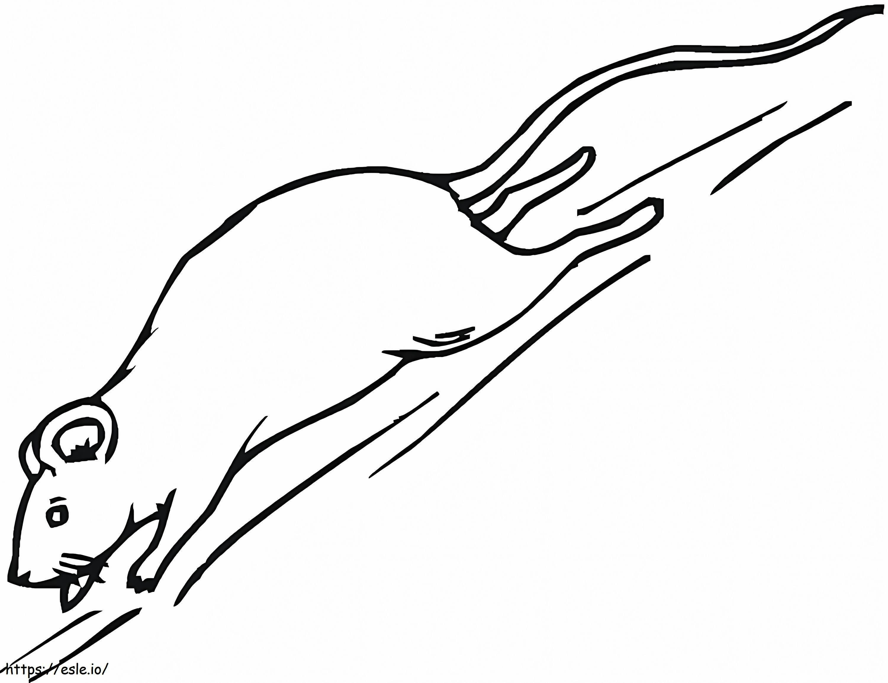 Coloriage Rat qui court à imprimer dessin