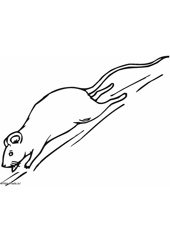Coloriage Rat qui court à imprimer dessin