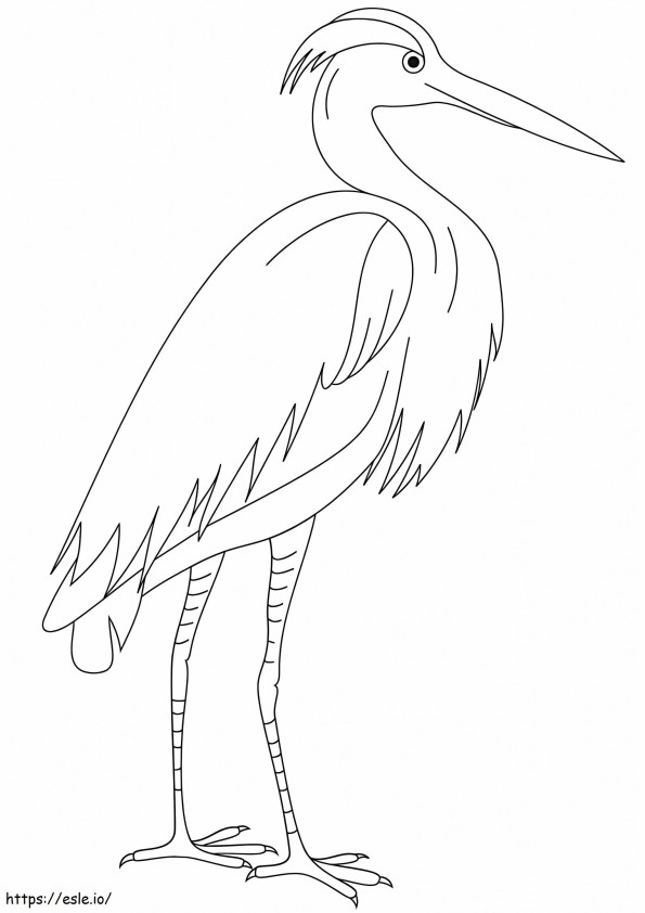 Simple Egret