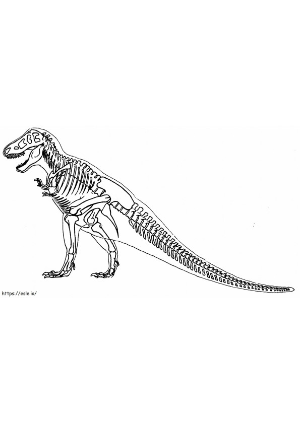 Scheletul T Rex de colorat
