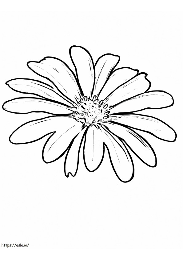 Pretty Daisy coloring page