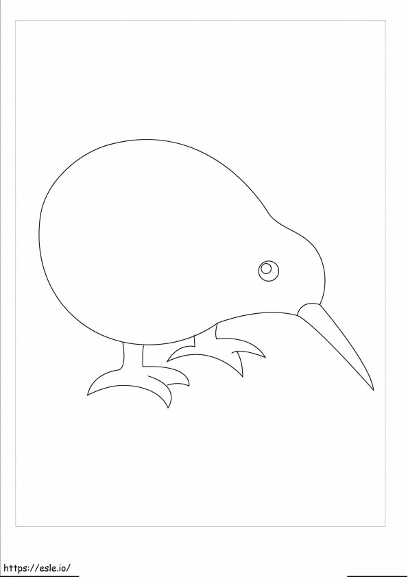 Coloriage Bel oiseau kiwi à imprimer dessin