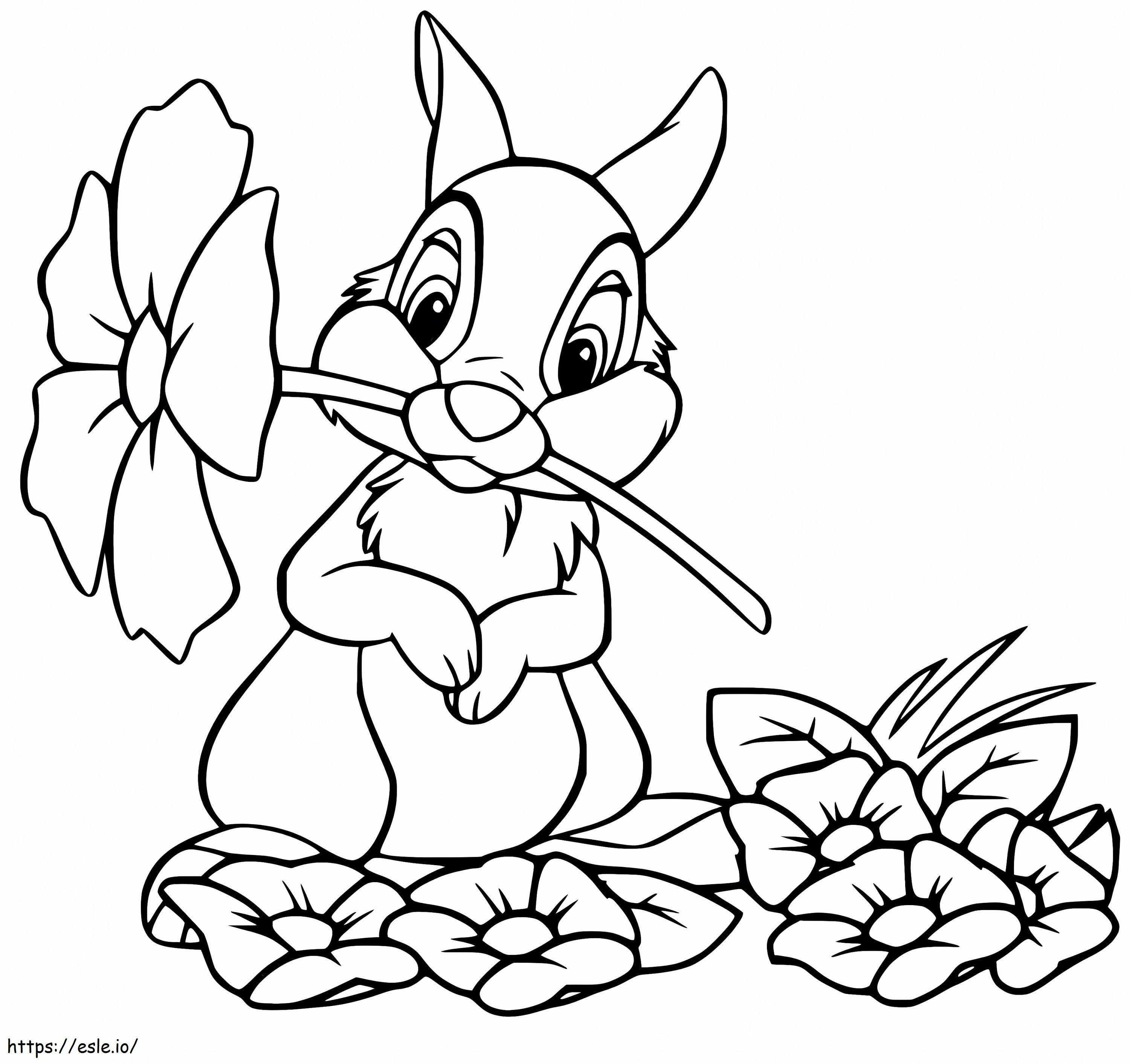 Thumper bir çiçek tutuyor boyama
